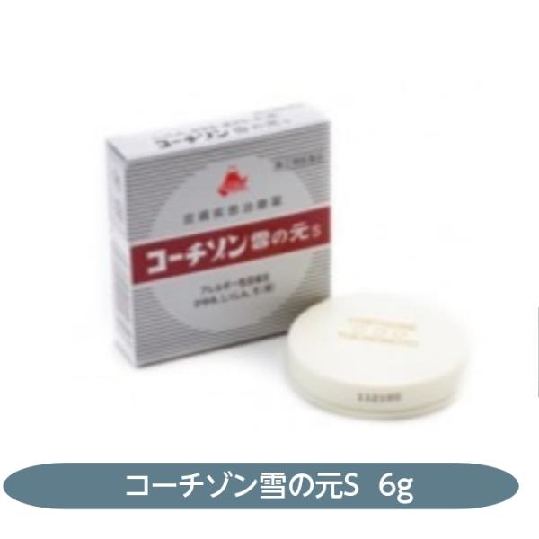 【指定第2類医薬品】皮膚疾患治療薬　コーチゾン　雪の元S　６g 　アレルギー性皮膚炎　かゆみ　しっし...