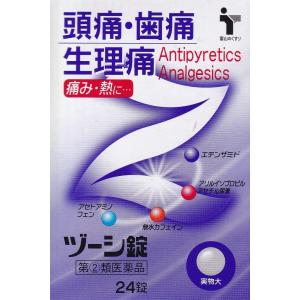 ヅーシ錠の商品画像