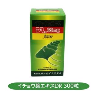 アサヒグループ食品 シュワーベギンコ イチョウ葉エキス 30日分 1個