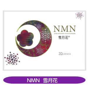 NMN　ニコチンアミドモノヌクレオチド　250mg　西海製薬　日本製 NMN ニコチンアミドモノヌクレオチド 250mg 西海製薬 日本製