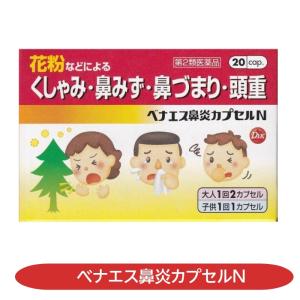 ベナエス鼻炎カプセルＮの商品画像