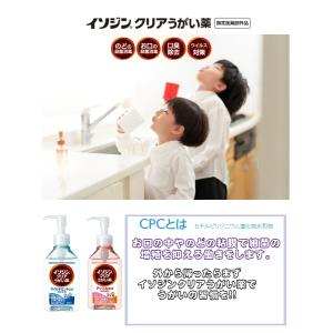 イソジンクリアうがい薬 アップルミント味 うが...の詳細画像1
