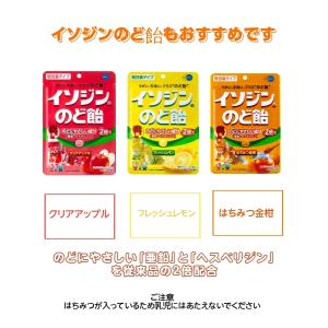 イソジンクリアうがい薬 アップルミント味 うが...の詳細画像4