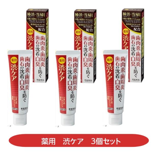 薬用　渋ケア　3個セット　歯肉炎予防　歯周炎予防　歯石の沈着　口臭　ひきしめ　ハーブミント　柿渋　当...