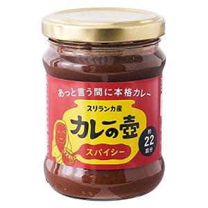 第3世界ショップ カレーの壺スパイシー 220g