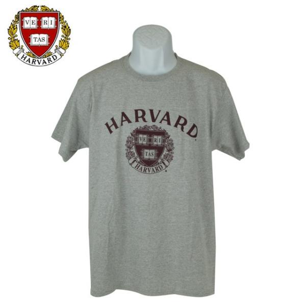 50%OFF ハーバード大学 チャンピオン Tシャツ 送料無料 アメリカ 限定 半袖 S グレー