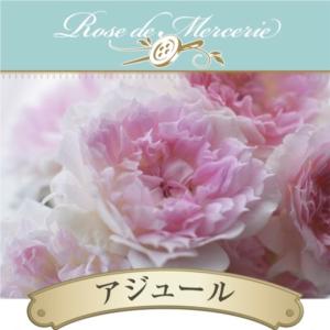 送料無料 パニエ 新苗4号鉢 鉢植え バラ 薔薇 河本バラ園 ローズ ドゥ