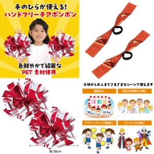 ハンドフリーチアポンポン 2個組1セット パス...の詳細画像5