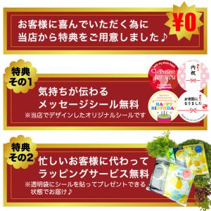 ギフトシール付大人の癒しリッチ3点セット 粗品...の詳細画像1