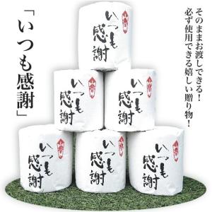 メッセージロールいつも感謝 粗品 プチギフト ギフト イベント 低価格 ご挨拶 企業 ノベルティ 記念品 プレゼント 開店記念 トイレットペーパー