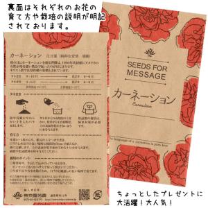 名刺ポケット付 花の種プチギフト 母の日 ホワ...の詳細画像2