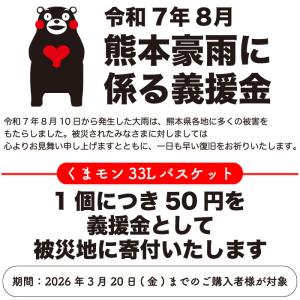 NEWくまモンのマイバスケット33L 景品 粗...の詳細画像3