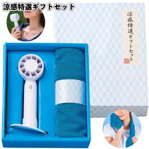 送料無料 涼感特選ギフトセット 60個セット 景...の商品画像