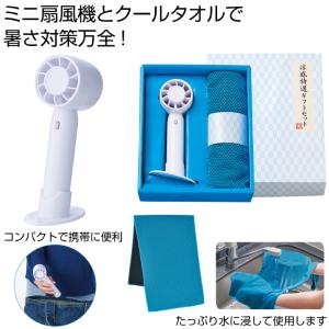 送料無料 涼感特選ギフトセット 60個セット ...の詳細画像1