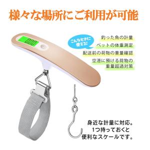 【10%OFF ブラックフライデー】 はかり ...の詳細画像1