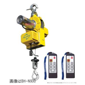 トーヨーコーケン　ベビーホイスト BH-N950WR　無線２個操作タイプ(揚程50ｍ・100kg)