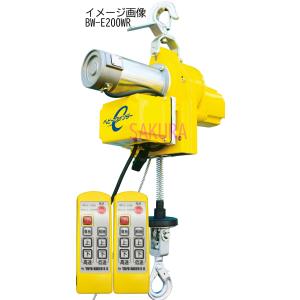トーヨーコーケン ベビーホイスト BH-N320 (揚程20m・60kg) : さくら