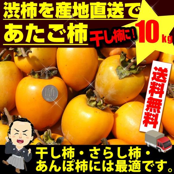 あたご柿 大玉限定３L〜２Lサイズ約１０ｋｇ 愛媛県 枝付渋柿 愛宕柿 干し柿 つるし柿 沖縄本土と...