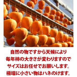 あたご柿 約20kg 愛媛県 枝付渋柿 愛宕柿...の詳細画像1