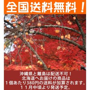 あたご柿 約20kg 愛媛県 枝付渋柿 愛宕柿...の詳細画像2