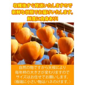 あたご柿 約20kg 愛媛県 枝付渋柿 愛宕柿...の詳細画像3