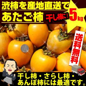 富士 甲州百目柿 1箱（15-20個入）※11月初旬頃発送予定 : 山の廻船