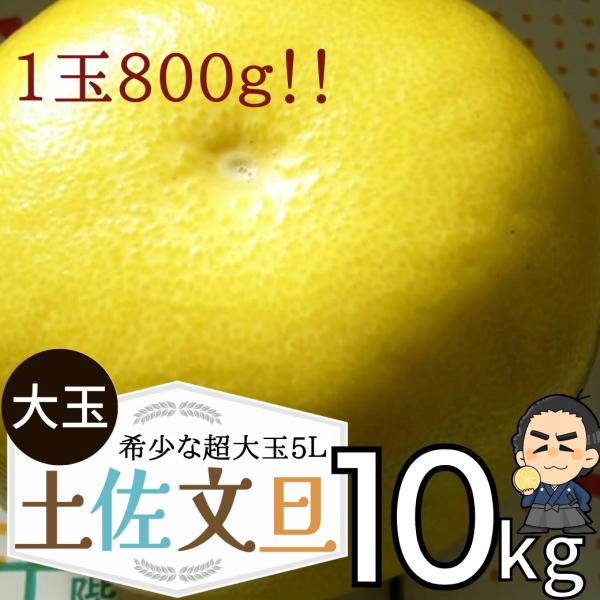 文旦  高知産 最大級　希少な大玉５Ｌサイズ１０kg  沖縄本土と北海道は別途送料 全国の離島は発送...
