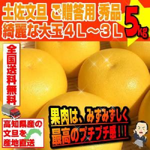 文旦 高知産 最大級 希少な大玉5Lサイズ10kg 沖縄本土と北海道は