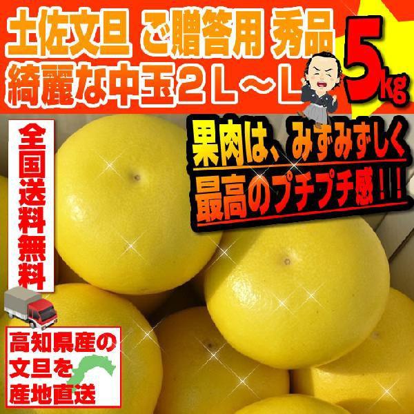 土佐文旦 ご贈答用 秀品 綺麗な中玉２Ｌ〜Ｌサイズ５kg高知産  ２月上中旬頃より発送予定 沖縄本土...