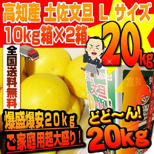 土佐文旦２０ｋｇ Ｌ２Ｌサイズ 高知産 文旦ぶんたん訳ありブンタン   沖縄本土と北海道は別途送料 ...