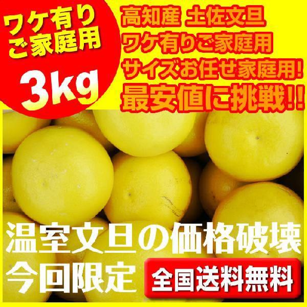 ハウス文旦３キロ入 温室文旦サイズお任せ家庭用  沖縄本土と北海道は別途送料 全国の離島は発送不可