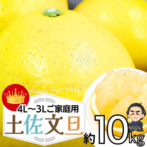 文旦 （訳あり土佐文旦） ４Ｌ〜３Ｌサイズ約１０ｋｇ 高知産 沖縄本土と北海道は別途送料 全国の離島...