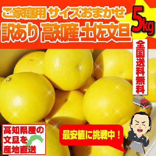 土佐文旦 約５ｋｇ 訳あり文旦 ご家庭用 サイズおまかせ  沖縄本土と北海道は別途送料 全国の離島は...