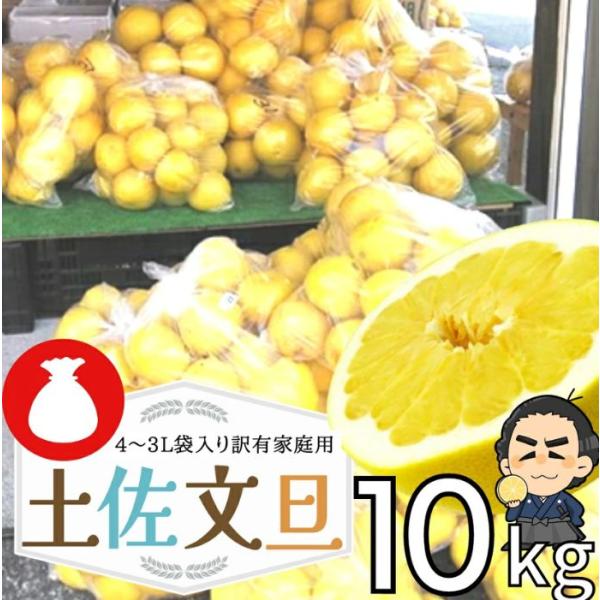 高知産 土佐文旦 袋入り 大玉４−３Ｌサイズ 約１０ｋｇ 訳あり品　