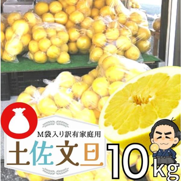 高知産 土佐文旦 袋入り Ｍサイズ 約１０ｋｇ 訳あり品