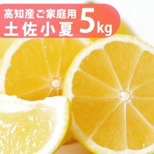 小夏 ご家庭用 高知産 土佐小夏 約5kg 日...の詳細画像2