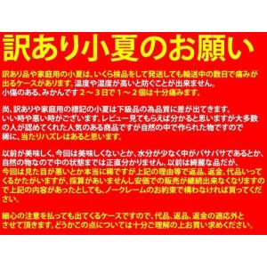 小夏 ご家庭用 高知産 土佐小夏 約5kg 日...の詳細画像5