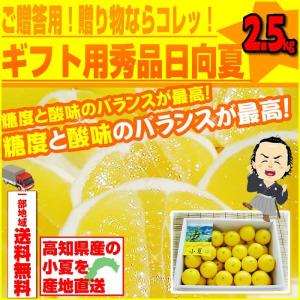 小夏 2.5kgご贈答用 高知産土佐小夏 日向...の詳細画像5