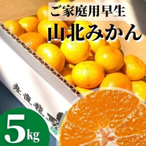 山北みかん 早生みかん５kg 高知県産　ご家庭用蜜柑