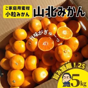 山北みかん 5kg ご家庭用蜜柑  2Sサイズ　 小粒みかん　 高知産