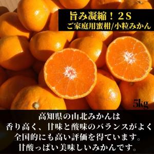 山北みかん 5kg ご家庭用蜜柑 2Sサイズ ...の詳細画像2
