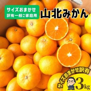 ★高知産 山北みかん３ｋｇ現在人気の小粒S〜２Sが入っています！ ワケ有り一般ご家庭用蜜柑：ミカン