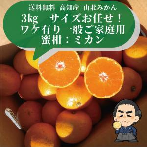 ★高知産 山北みかん3kg現在人気の小粒S〜2...の詳細画像1