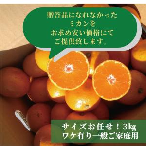 ★高知産 山北みかん3kg現在人気の小粒S〜2...の詳細画像4