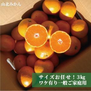 ★高知産 山北みかん3kg現在人気の小粒S〜2...の詳細画像5