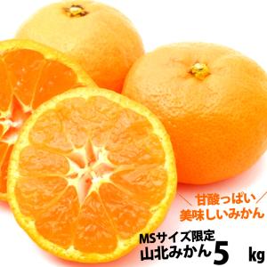 山北みかん　MSサイズ限定5kg みかん蜜柑 中級品　高知産