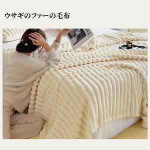 毛布 シングル シングルサイズ もうふ ダブル...の詳細画像5