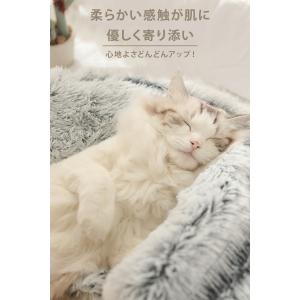猫 ベッド ベッ 犬 ふわふわ ドーム型 暖か...の詳細画像4