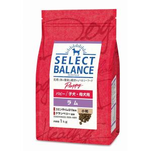 VetSolution 犬用 皮膚サポート 3kg【ベッツソリューション】【犬用