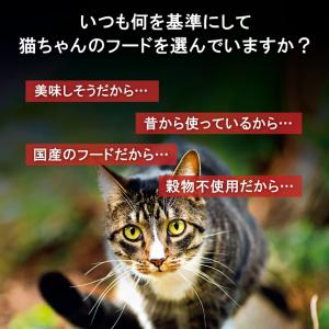 アカナ インドアエントリーキャット 1.8kg...の詳細画像2